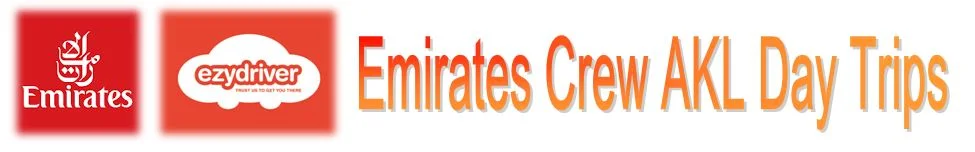 Emirates Ezy Header.JPG