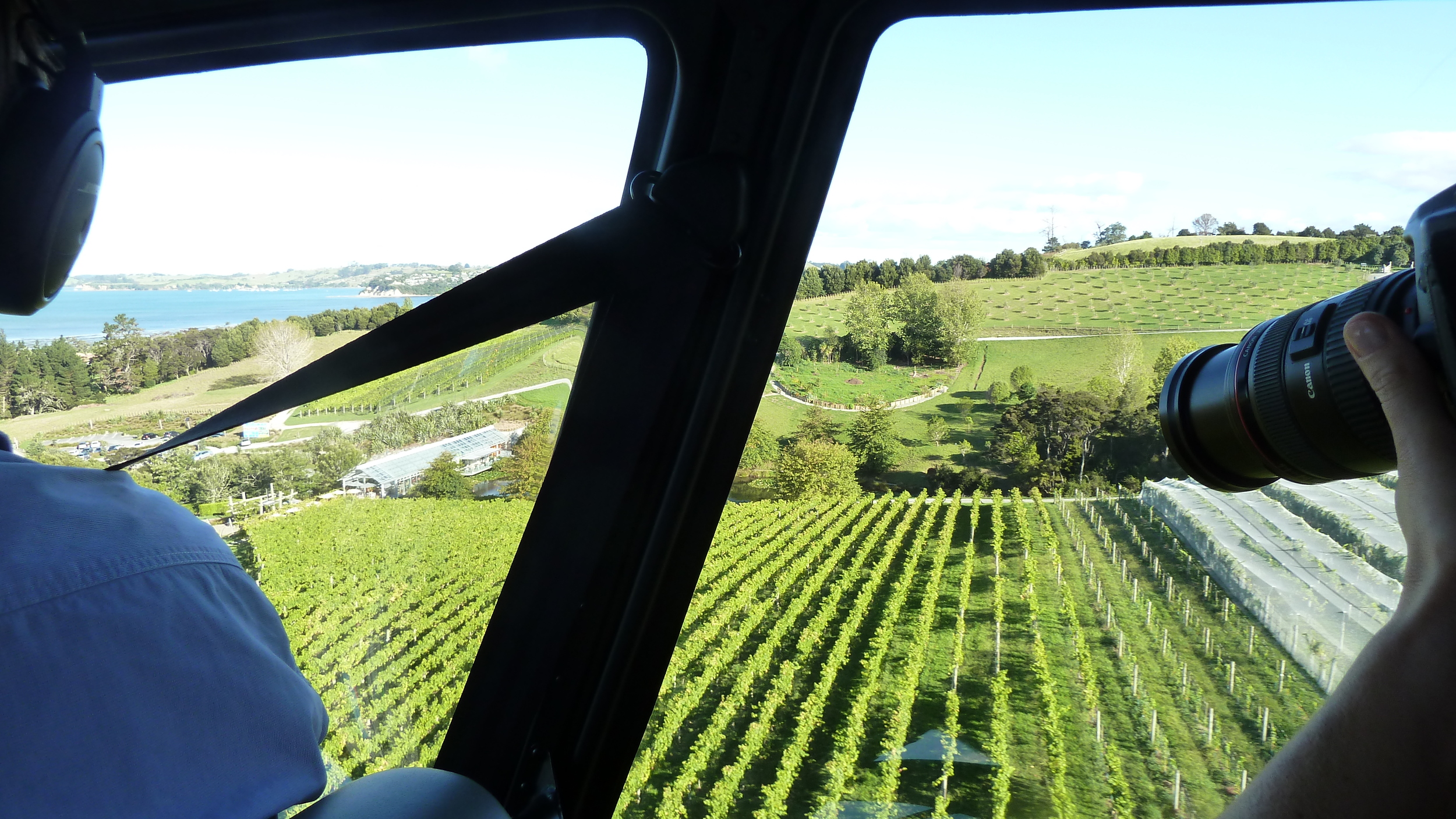 Matakana Brick Bay Vineayard