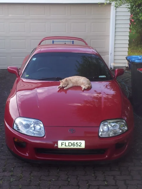 2012-12-06 19.18.53.jpg