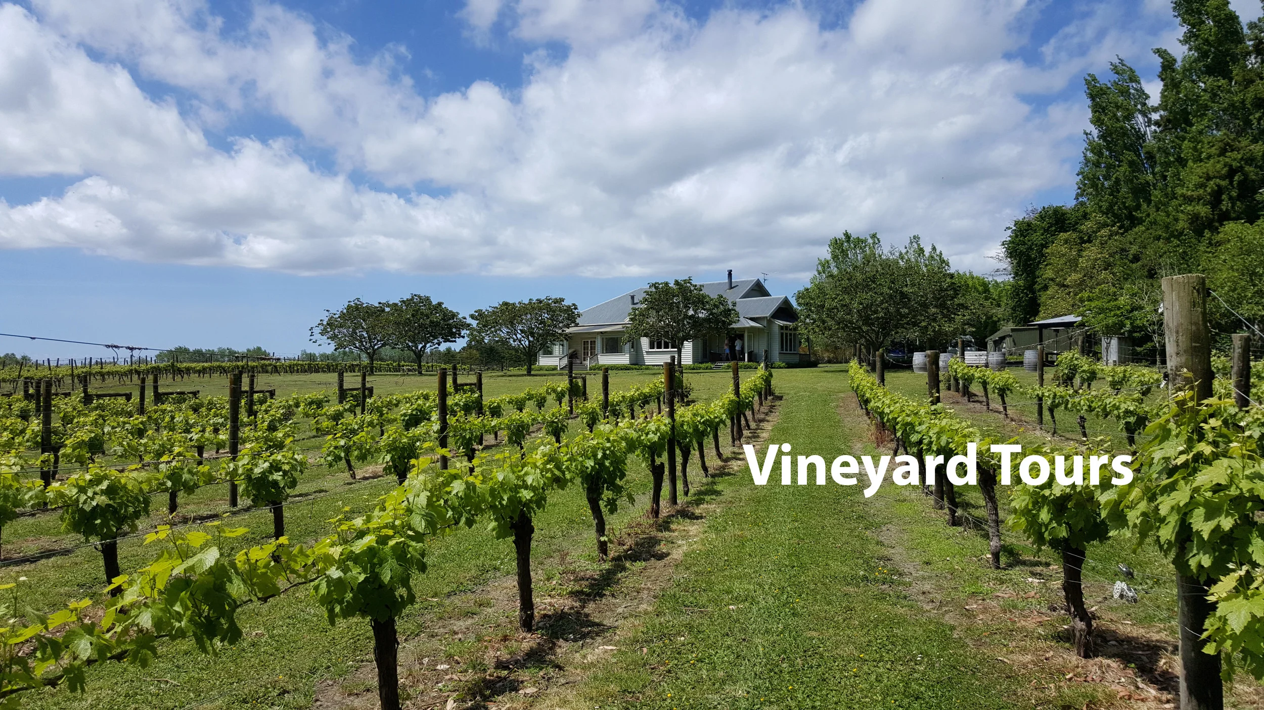 Vineyard tours