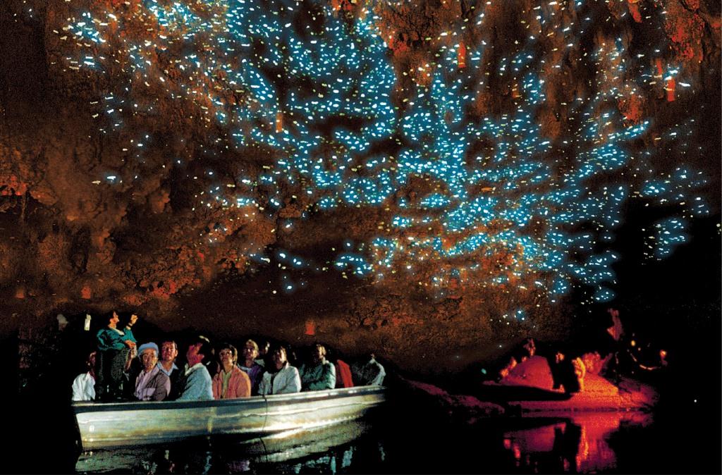 Waitomo Glow Worm Caves