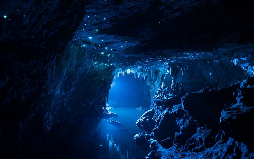 Waitomo Glow Worm Caves