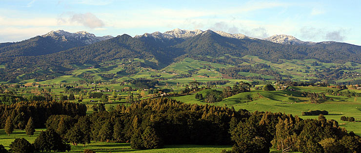 Pirongia Forest