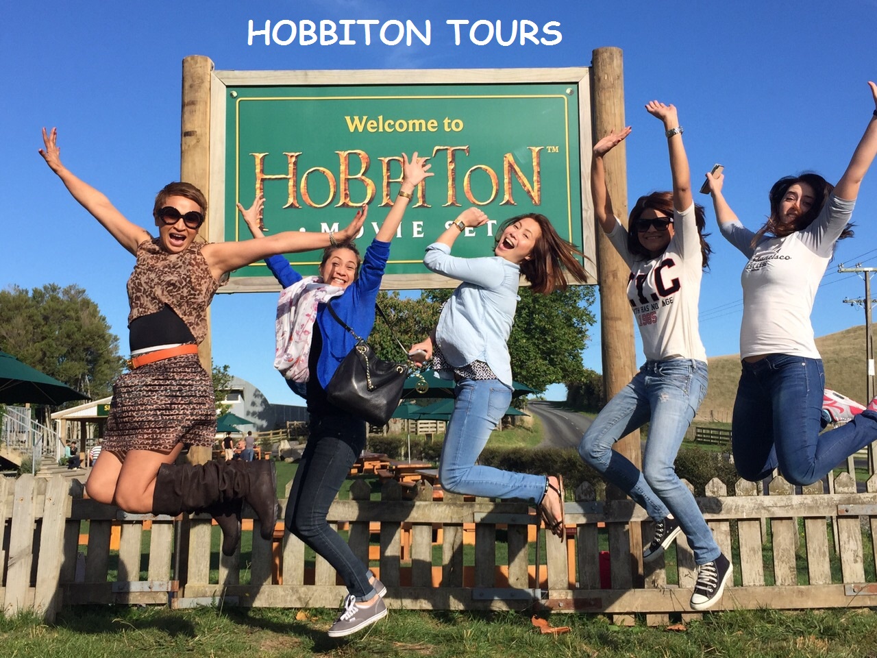 Hobbiton Movie Set Tours