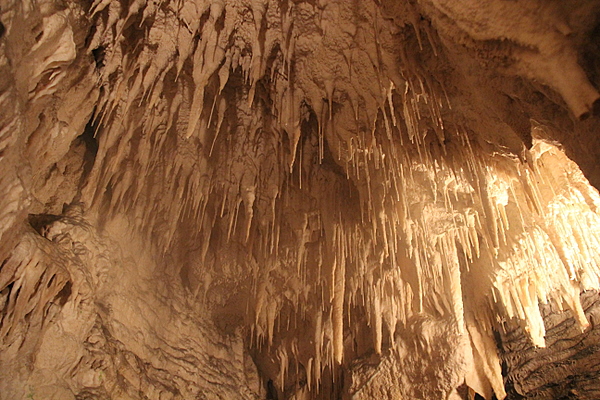 Waitomo Aranui Cave