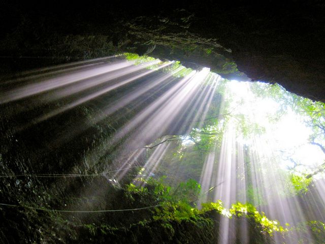 Waitomo Cave.jpg