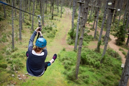 Tree Adventures