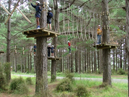 Tree Adventures
