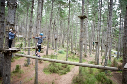 Tree Adventures