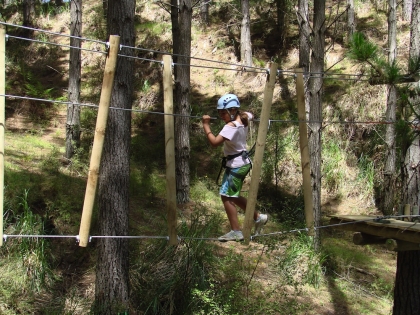 Tree Adventures