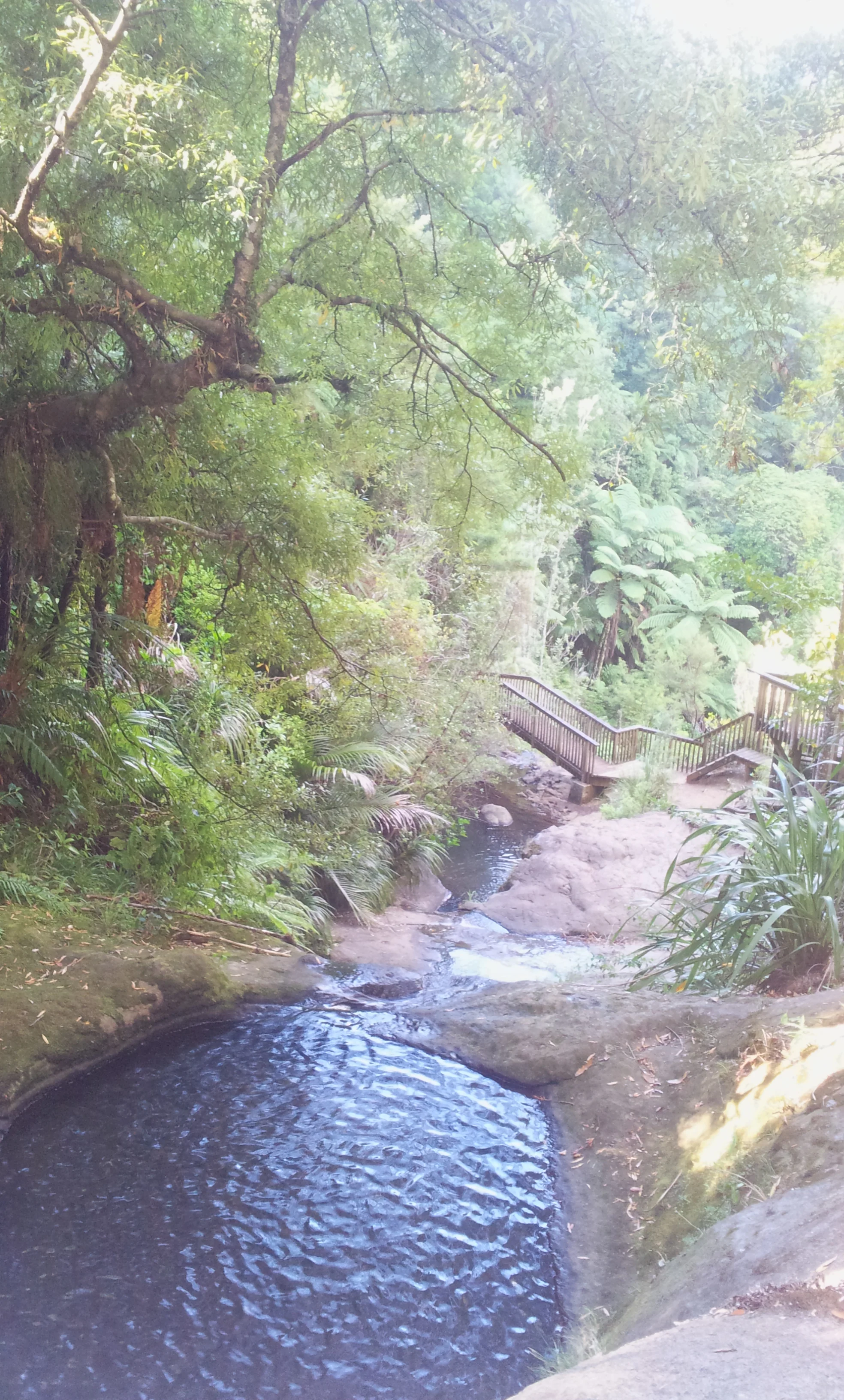 2013-02-24 16.20.12.jpg