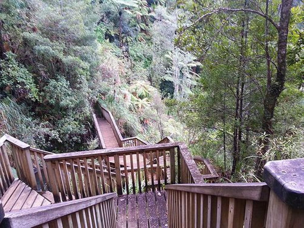 Fairy Falls Track1.jpg