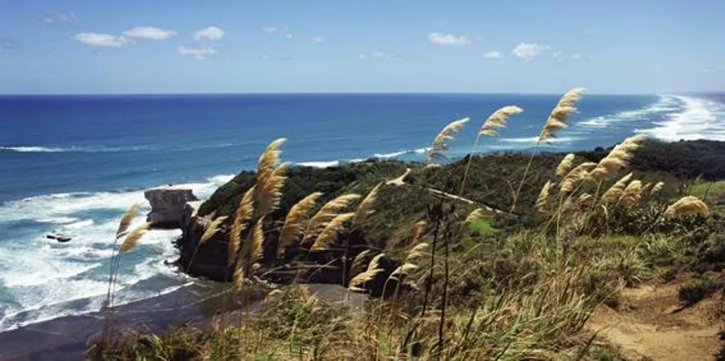 Muriwai beach