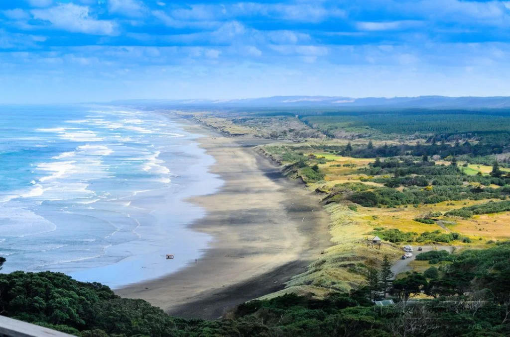 Muriwai beach