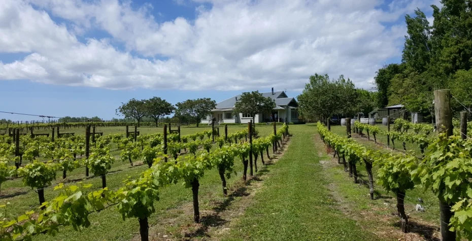 Kerr Farm Wines