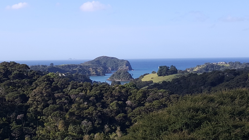 Tutukaka bay lookout