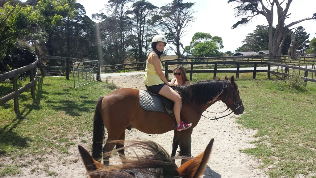 Pakiri Beach Horse Rides