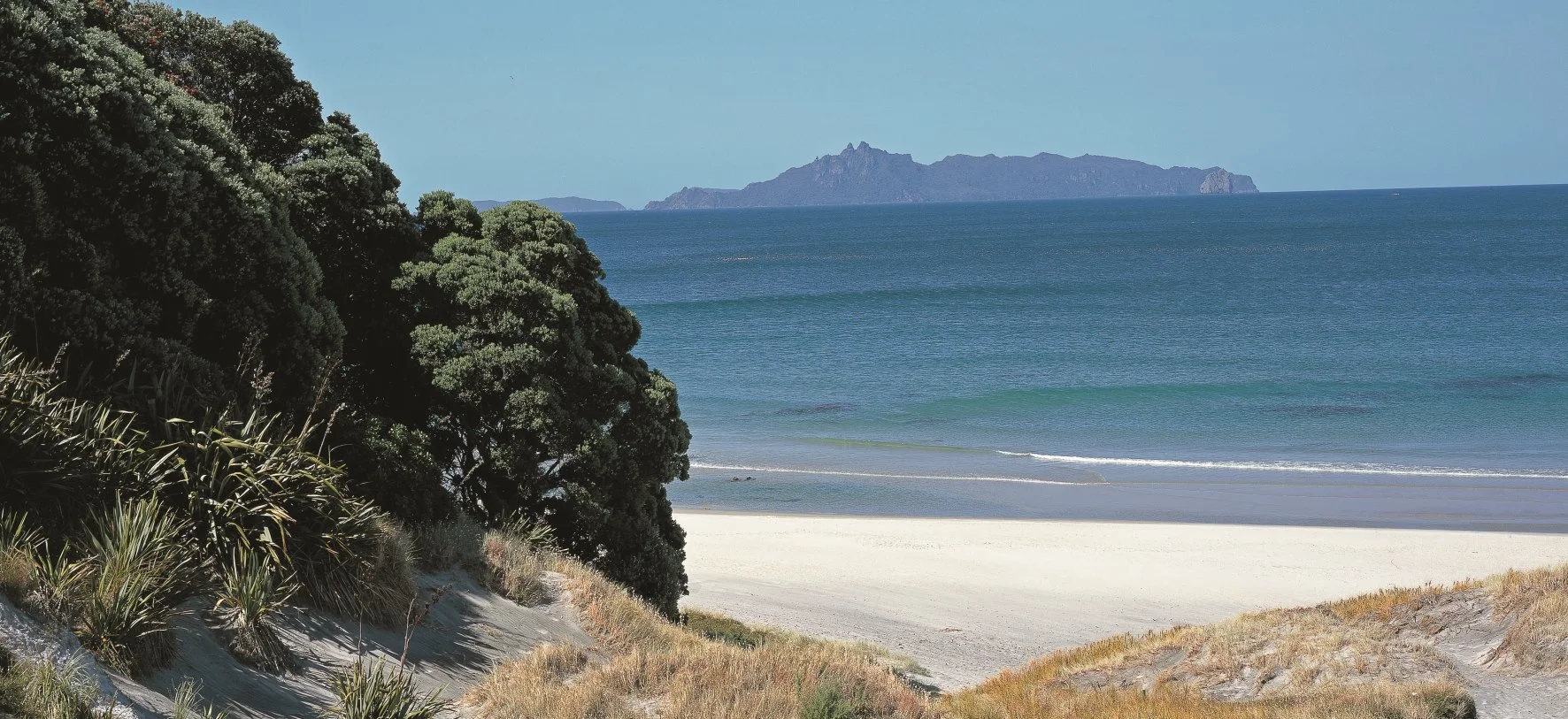 Mangawhai Heads