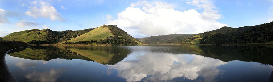 Bethells Lake & Surf Beach