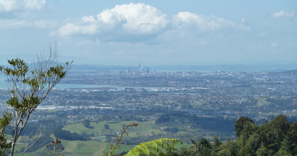 Scenic Drive Lookout