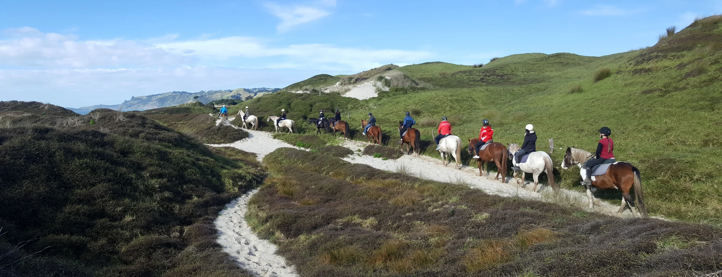 Pakiri Beach Horse Rides