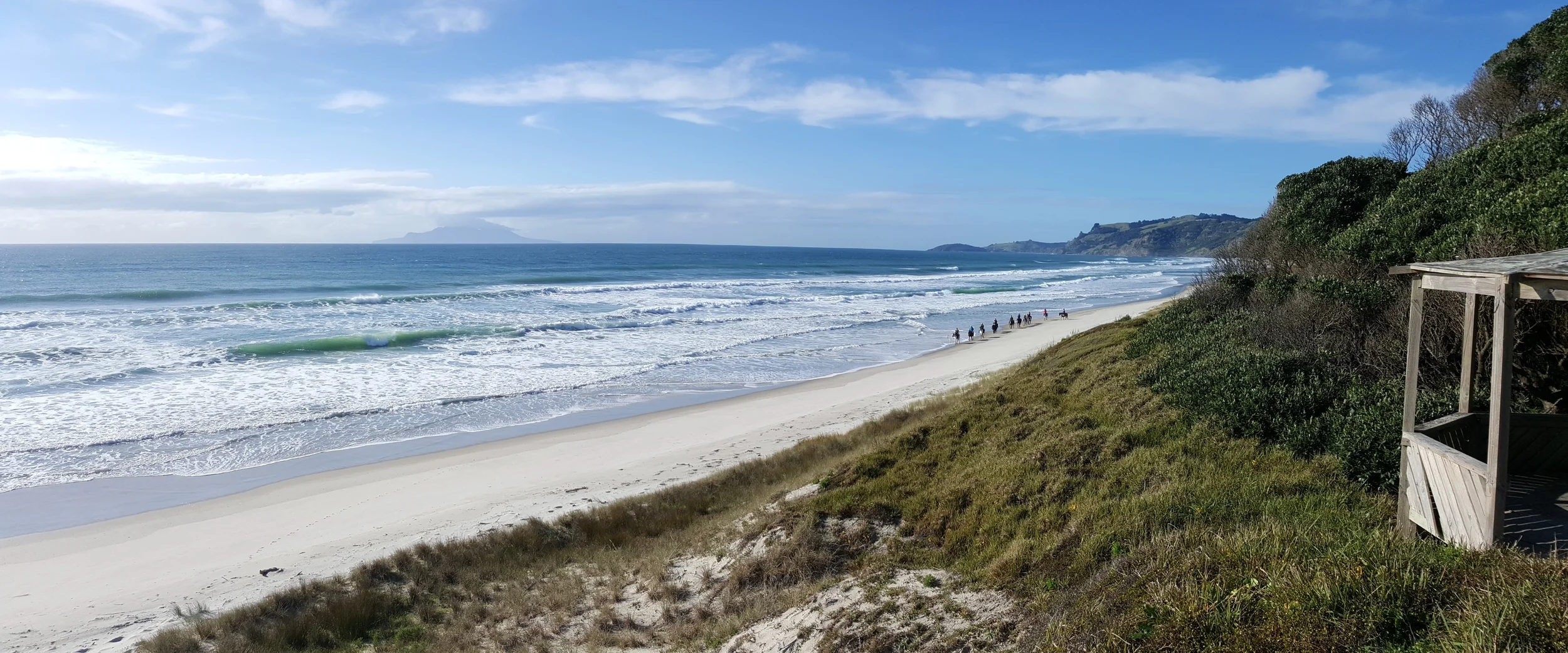 Pakiri Beach Horse Rides