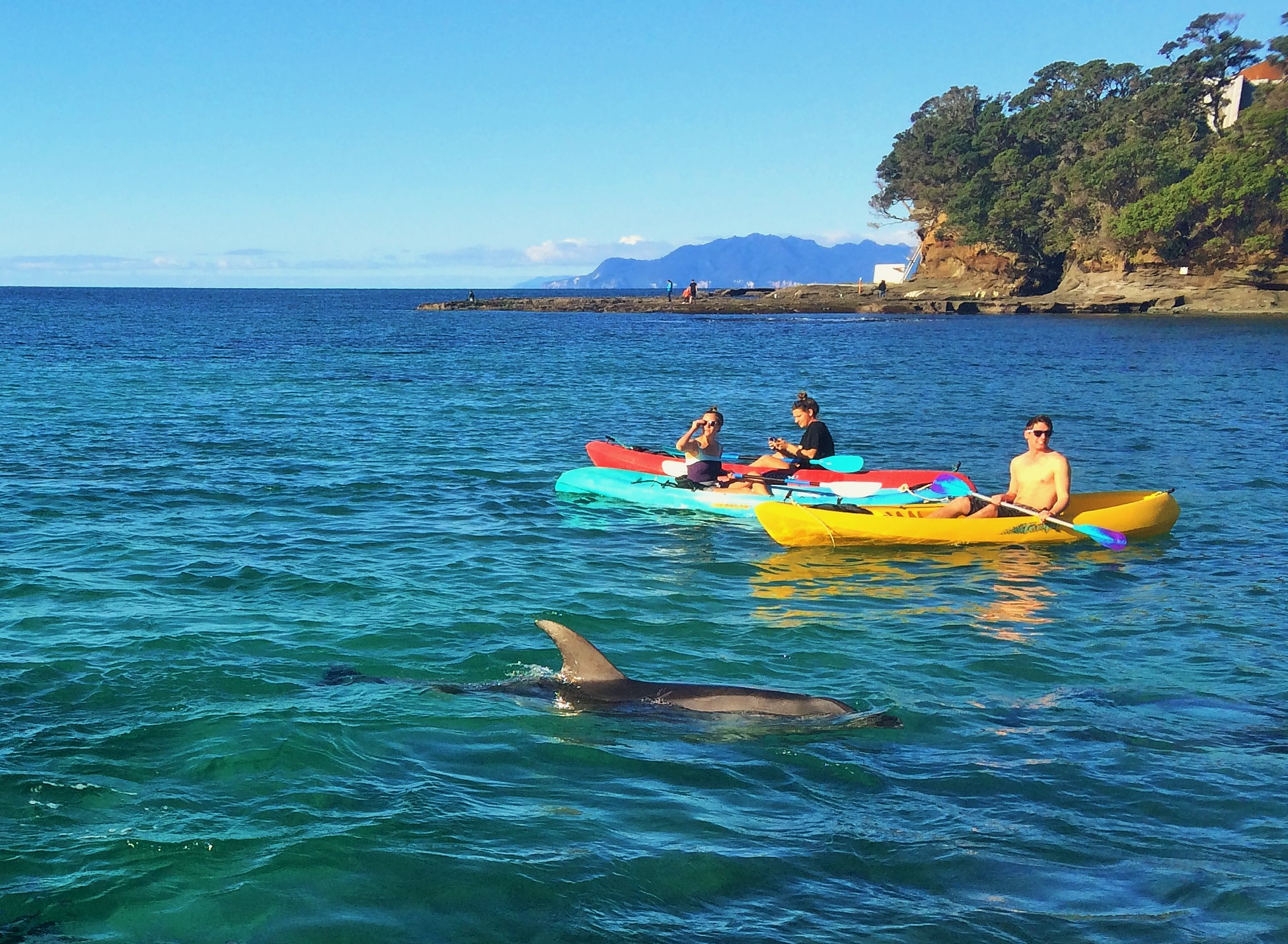Goat Island