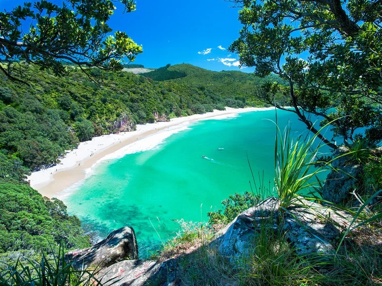 NZ-Best-Beaches-Chums-Bay.jpg