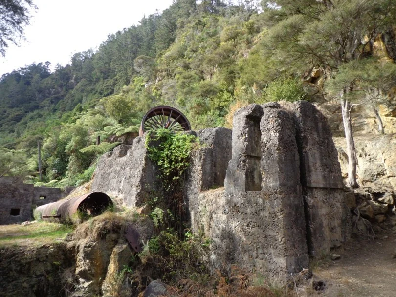 karangahake plant.jpg