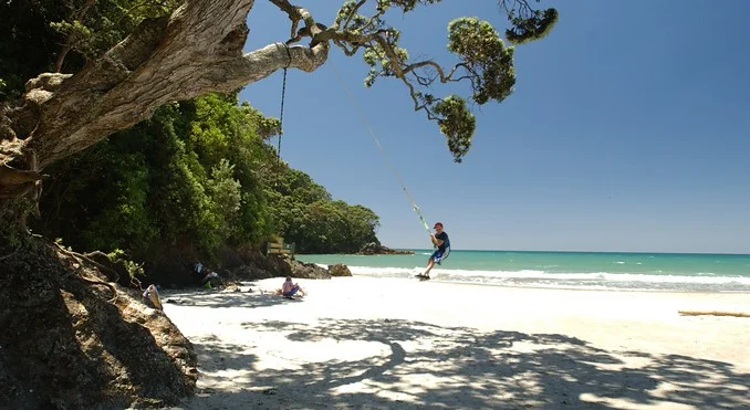 waihi beach swing.jpg