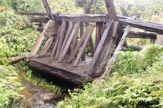 kauaeranga-valley-kauri dam.jpg