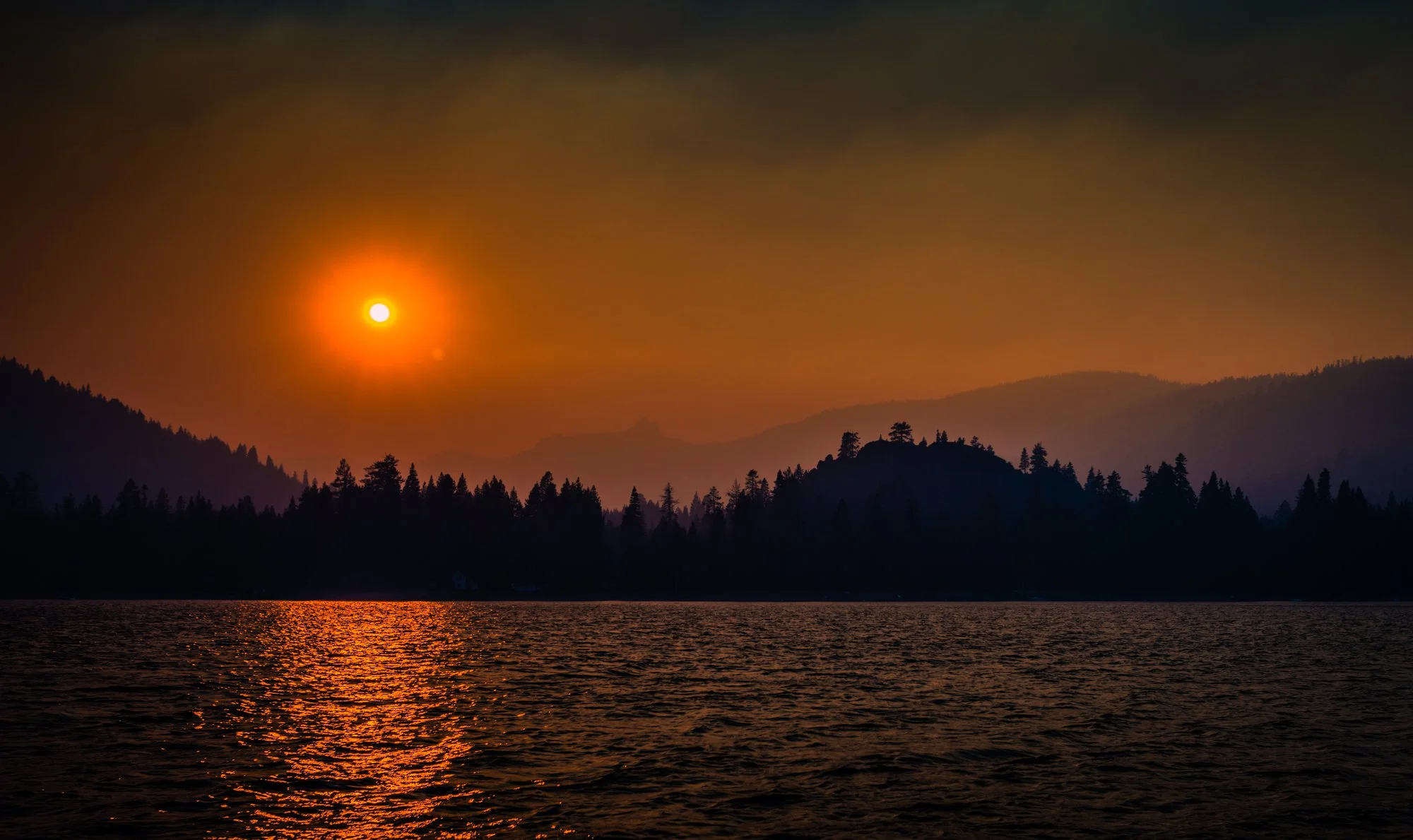 DSC_0128.jpg