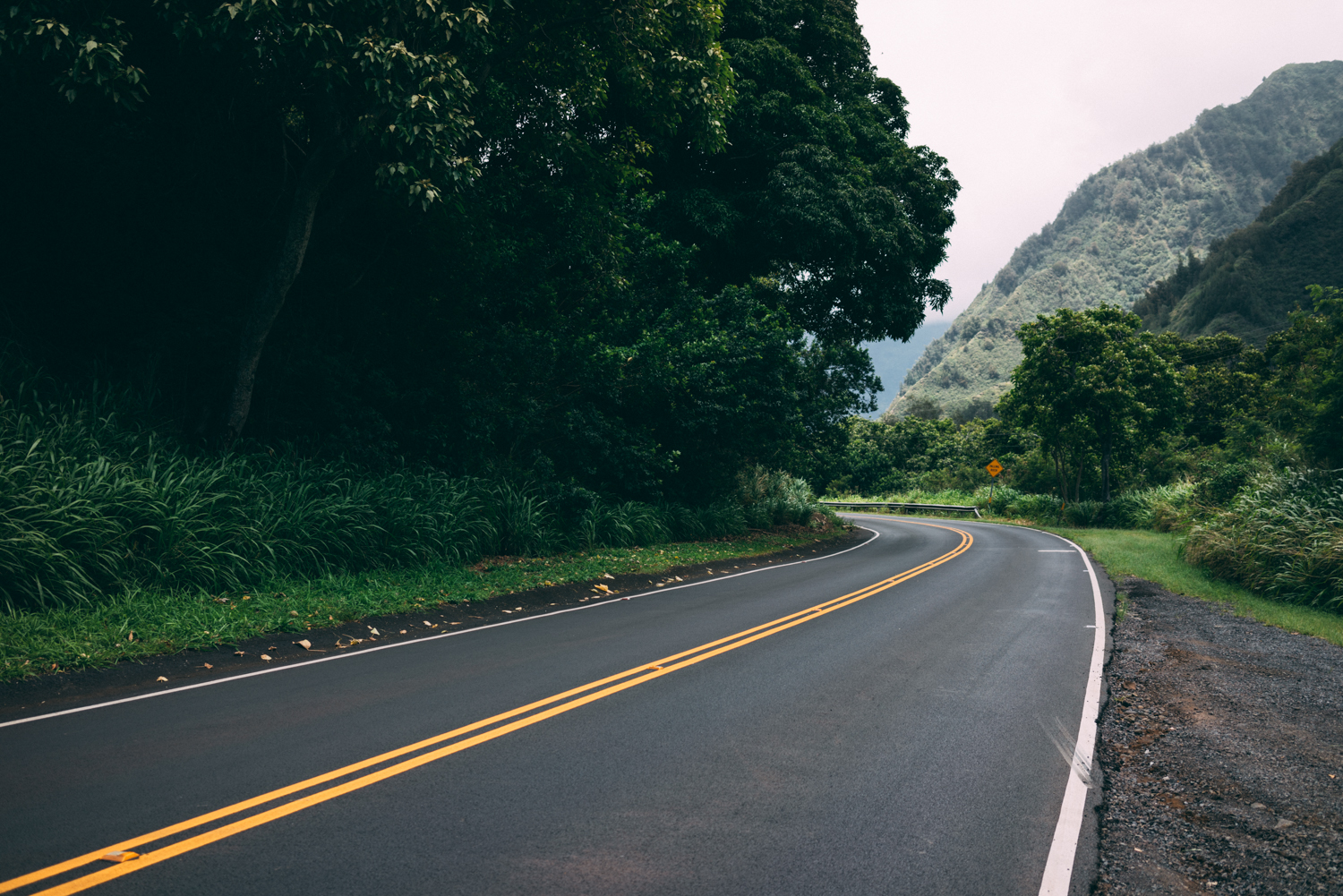 The road into the park was great, covered in green with great sweeping curves into the valley.