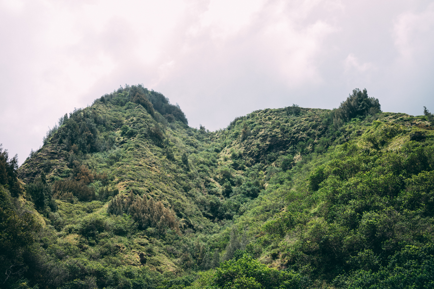 The terrain in the valley was stunning, Grand mountains towering over everything with shear drops on every end.