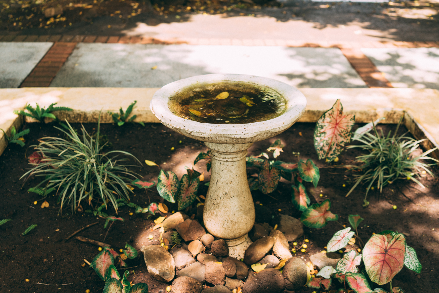 Neglected slightly, the fountain brought with it a sense of age.