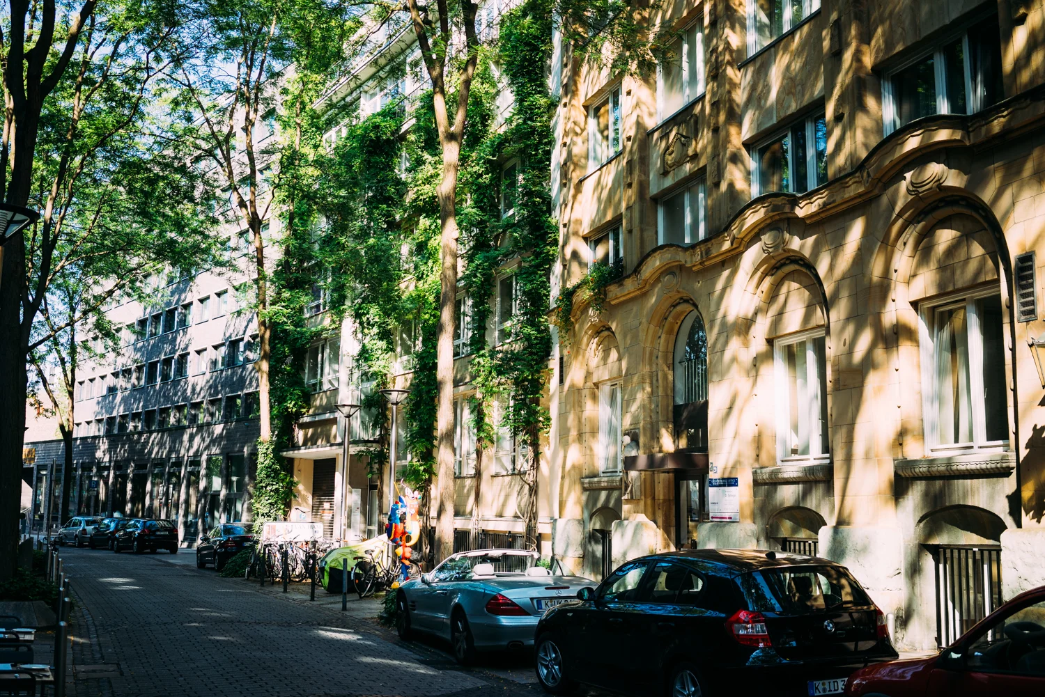 Great light coming through the trees in Cologne