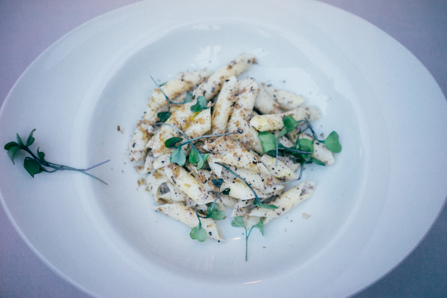 Truffle Alfredo