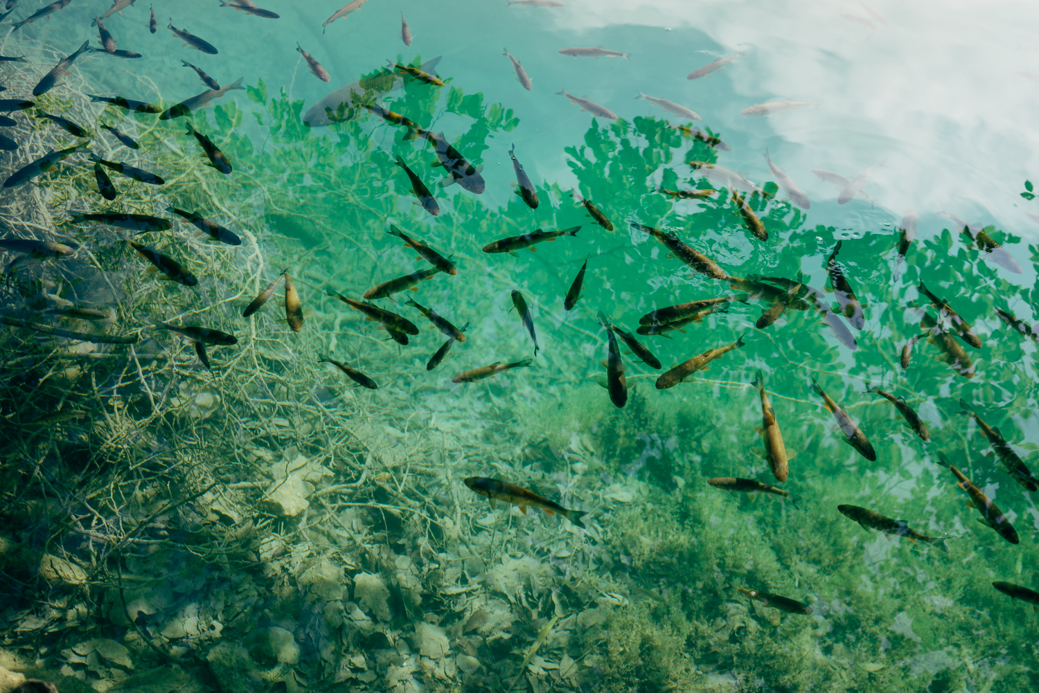 Crisp and Clear water.