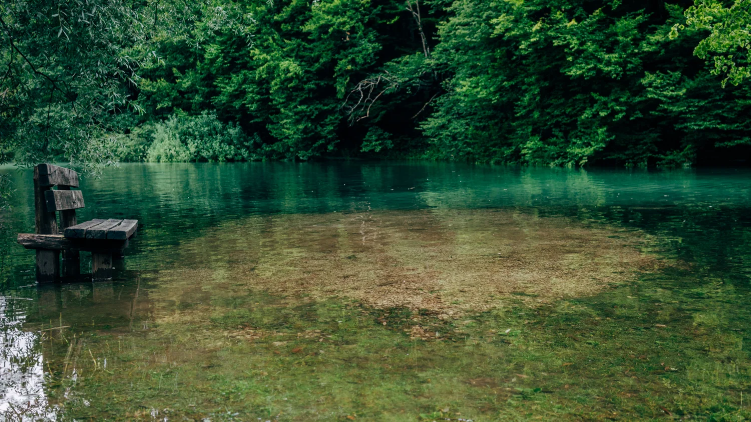 The Lake flooding made for some beautiful images.