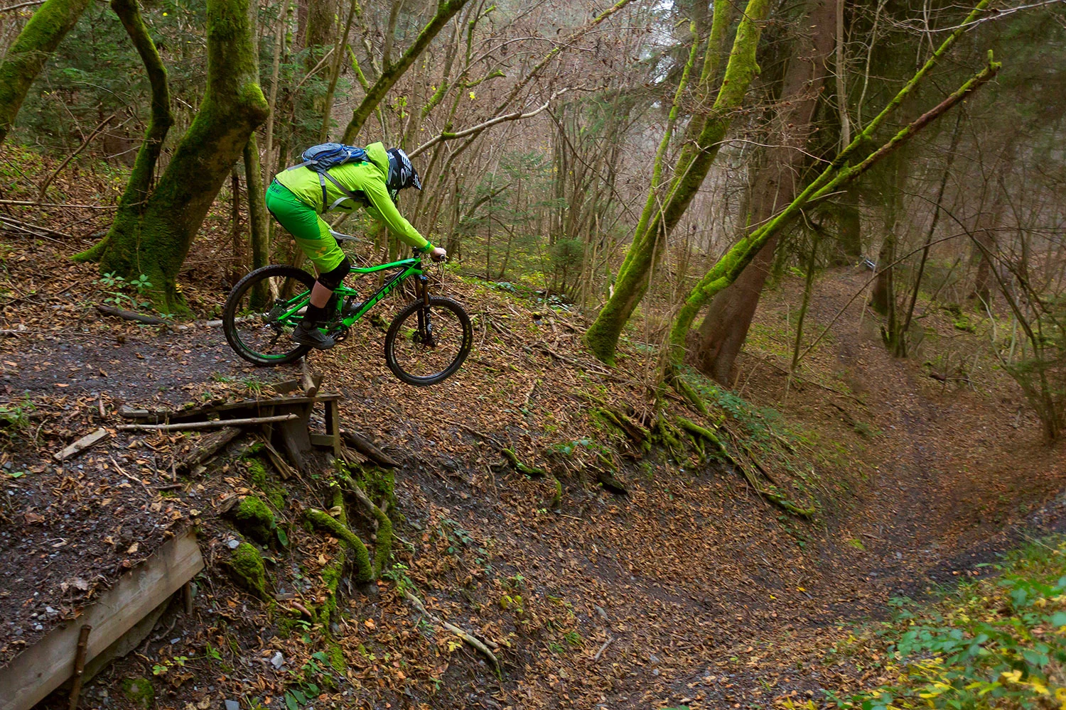 SETTINGS - 1/500th sec - f4 - ISO 640 - 25mm - No Flash - KIT - Camera - Canon 5D Mark III - Lens - EF 17-40 f/4 USM