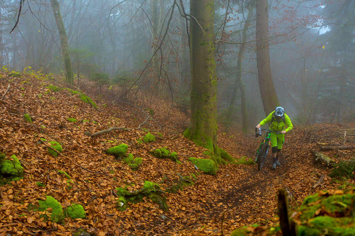 SETTINGS - 1/500th sec - f4 - ISO 640 - 40mm - No Flash - KIT - Camera - Canon 5D Mark III - Lens - EF 17-40 f/4 USM