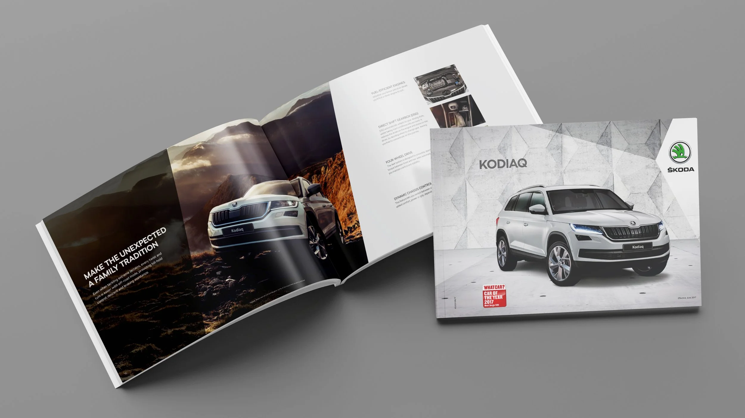 Kodiaq 1.jpg