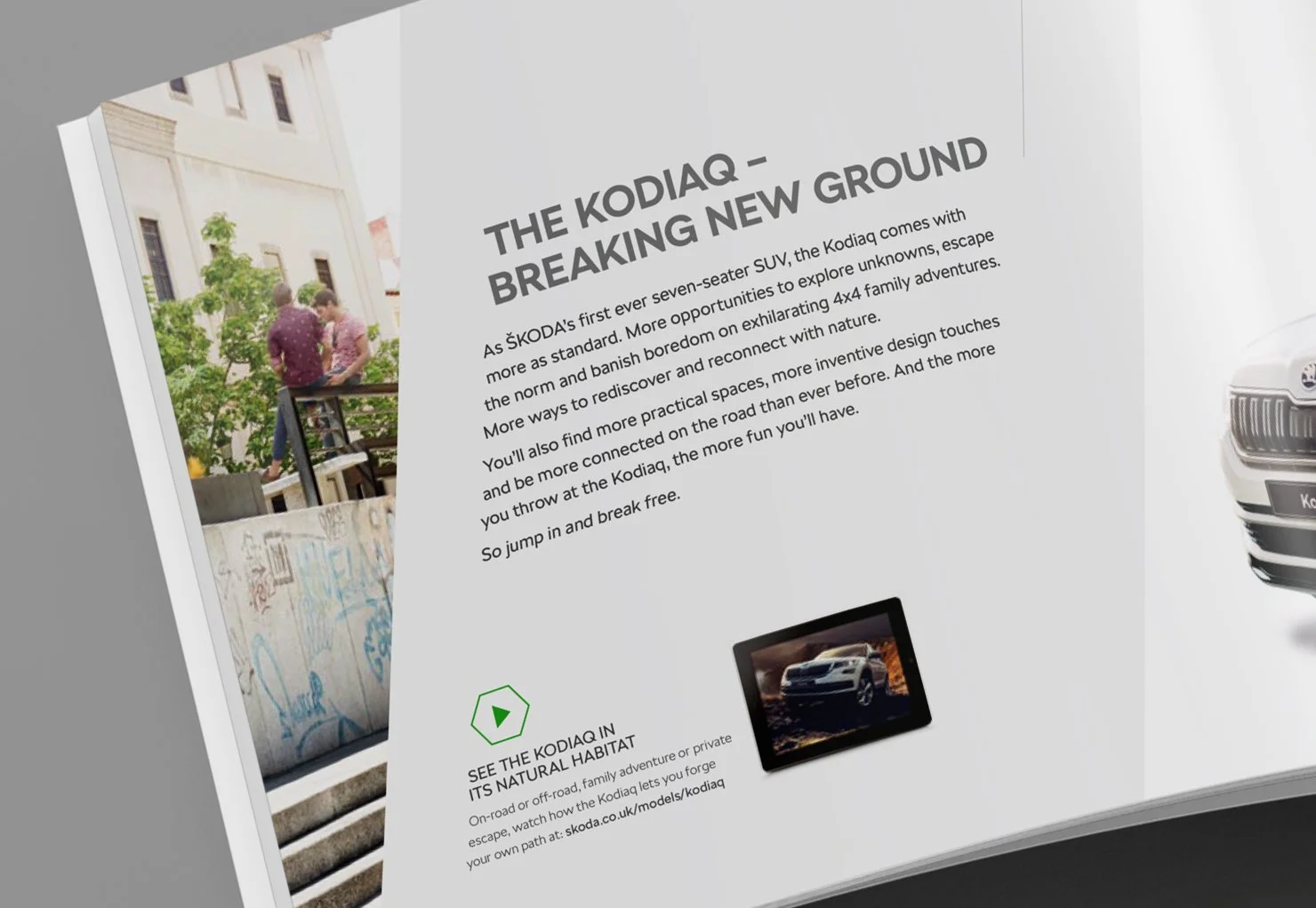 Kodiaq 2.jpg