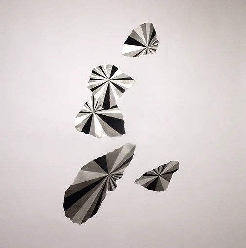 Solidification Progress, 2014
