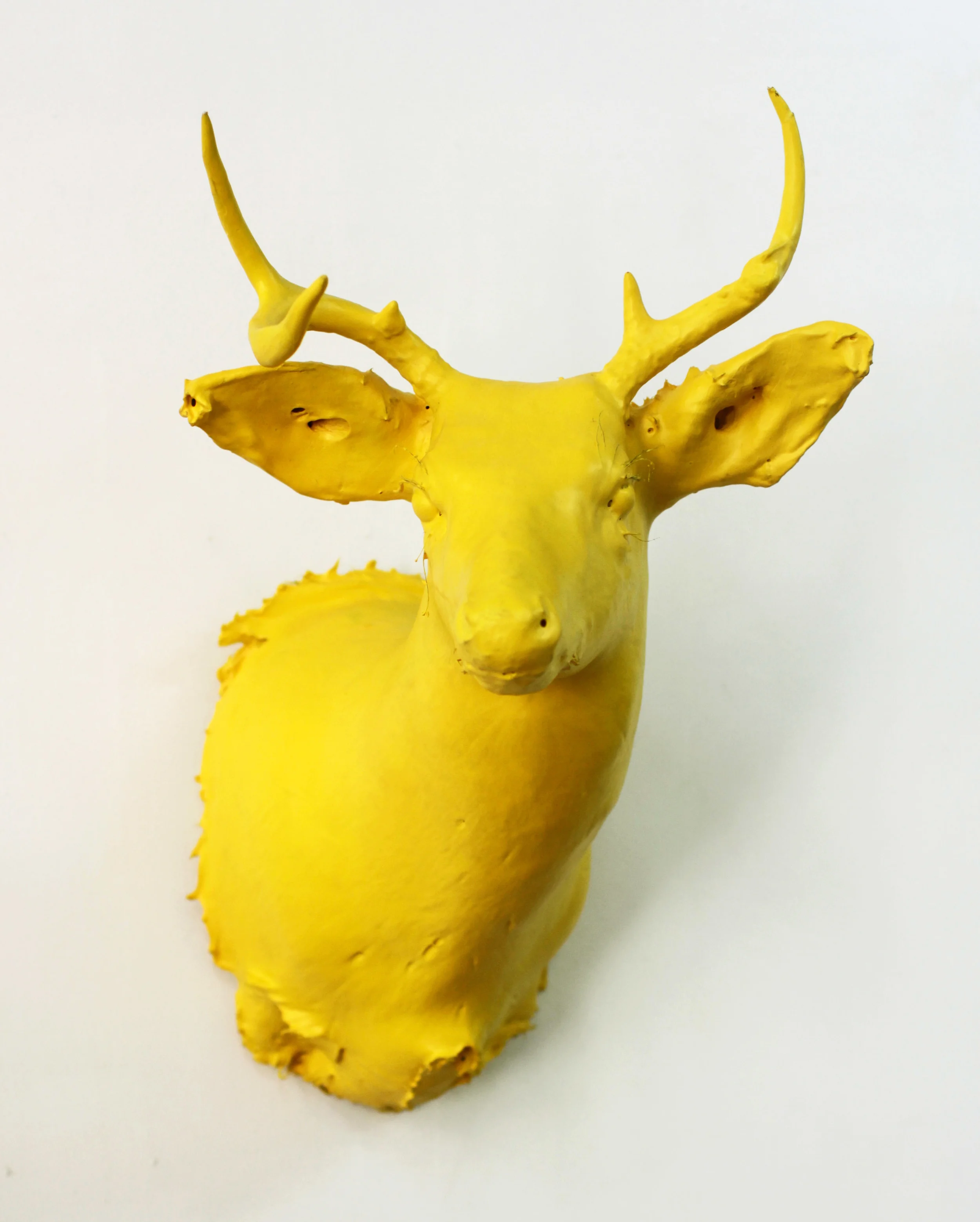 Deer Head, 2011