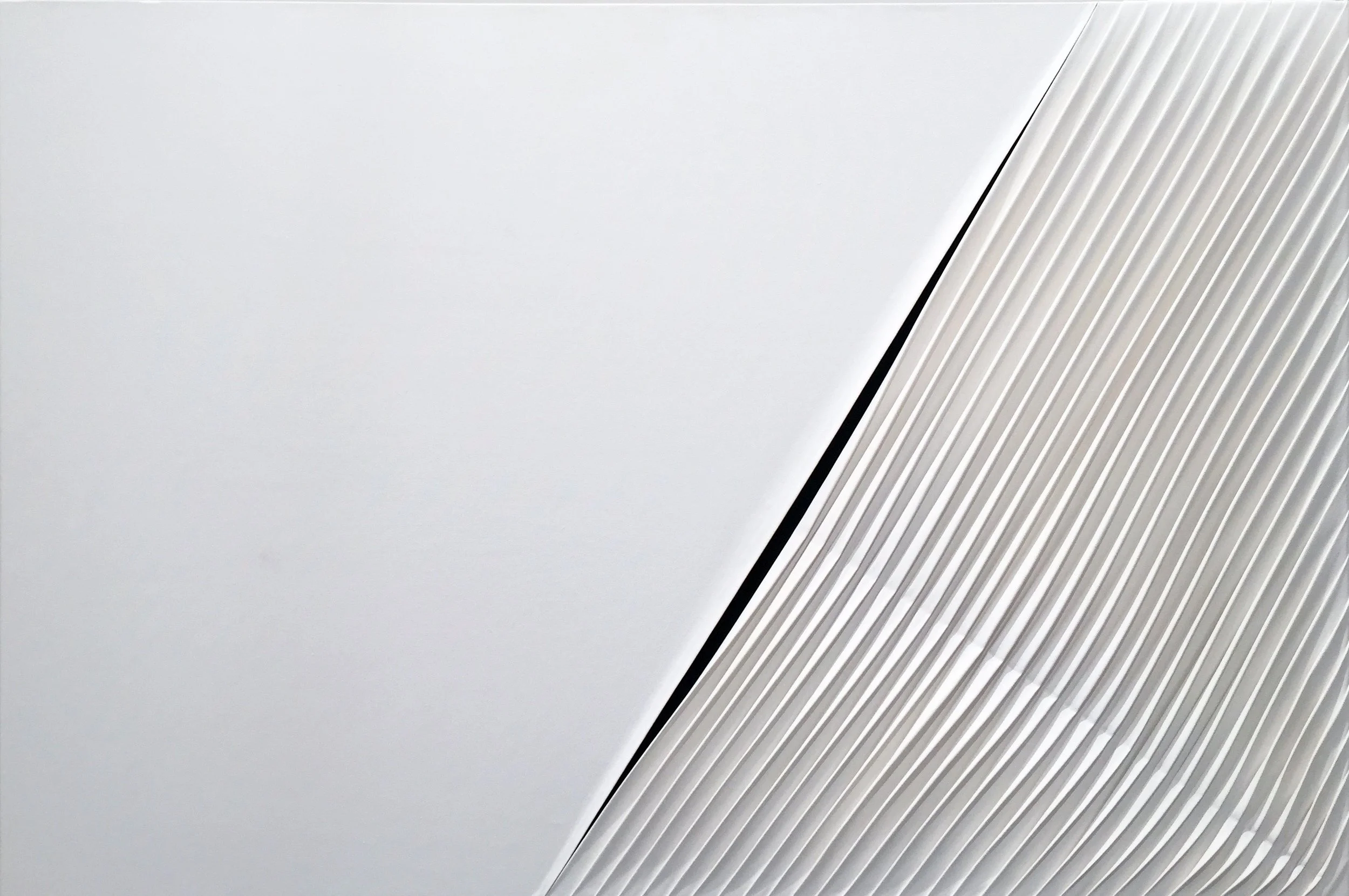 4020, 2007