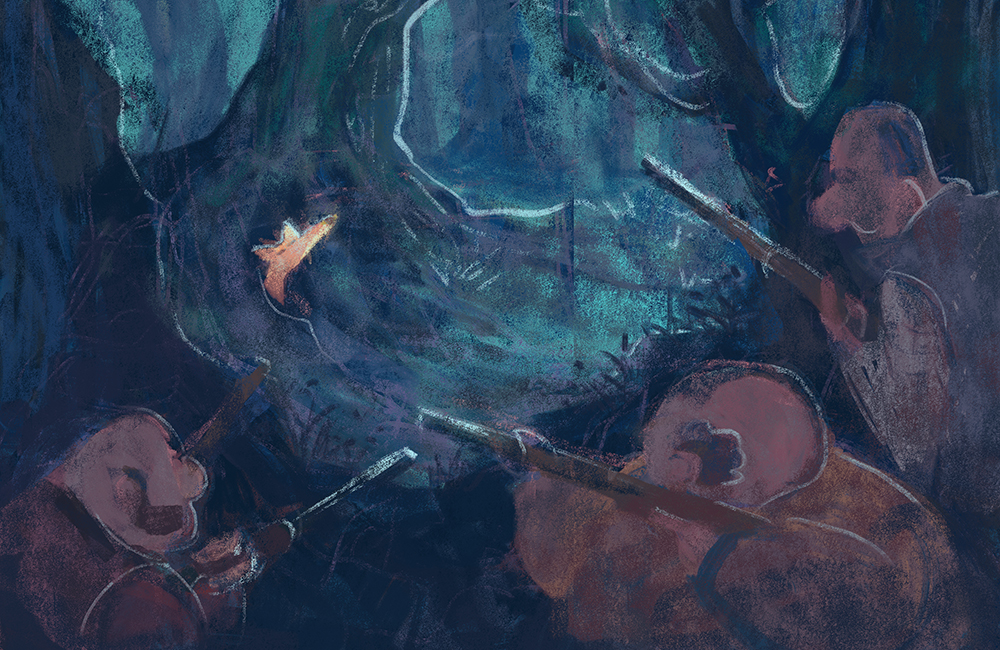 Fantastic Mr. Fox - 'The Shooting' - Concept Sketch