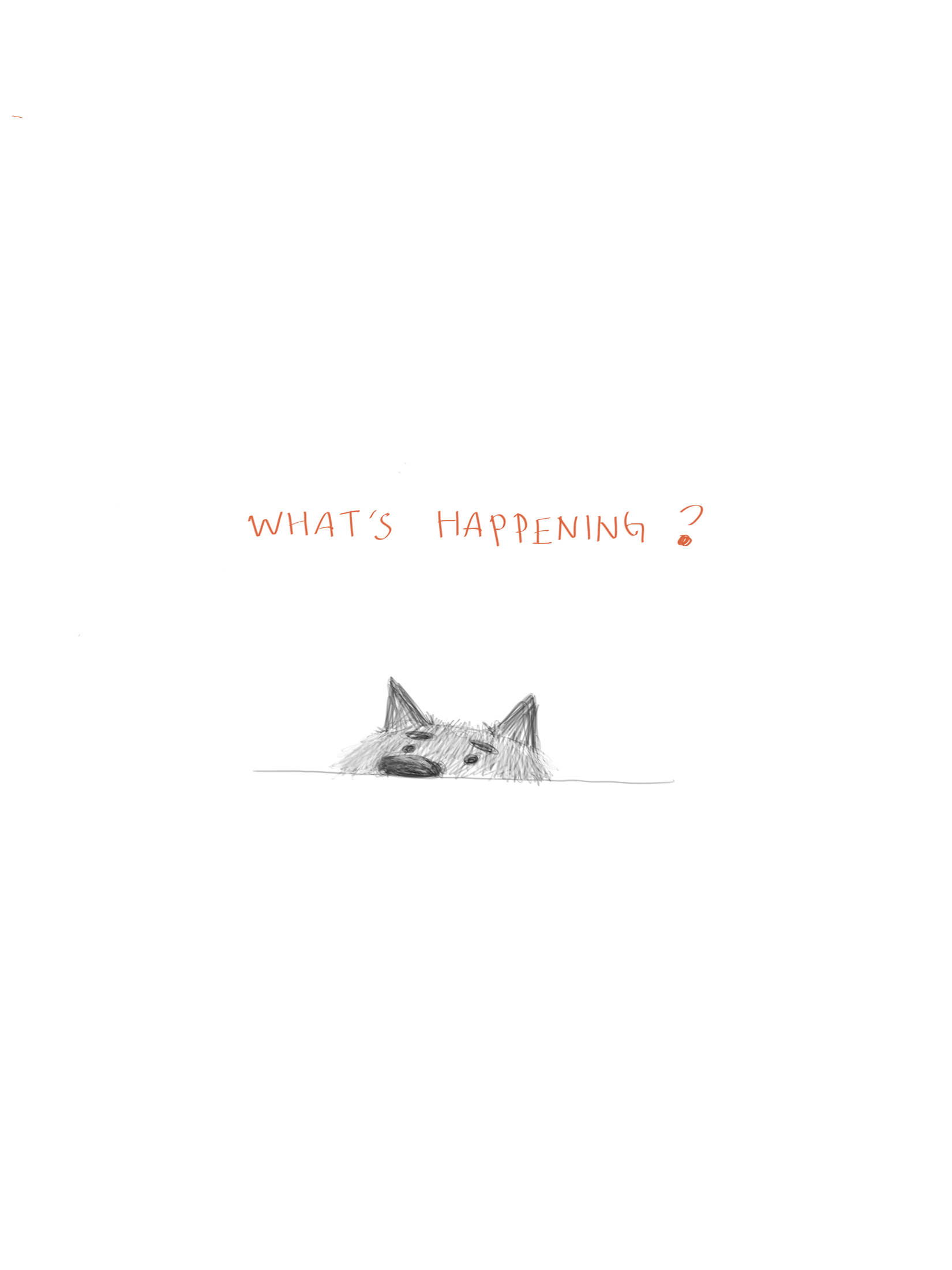 IMG_0635.PNG