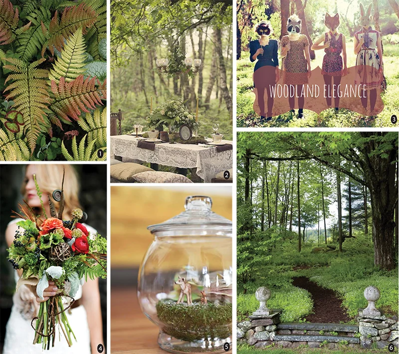 photos via 1. heraldnet (dryopteris lepidopoda) , 2. love my dress ( clare west photography ), 3. casey wasey bear , 4. wedding chicks , 5. smile and wave (post by janae hardy), and 6. design new england .