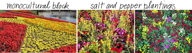 Photos taken at the Epcot International Flower and Garden Festival